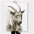 Picture of Watercolour Ram  _GroupedProduct_Rectangle_Portrait_Canvas_