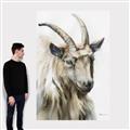 Picture of Watercolour Ram  _GroupedProduct_Rectangle_Portrait_Canvas_
