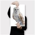 Picture of Watercolour Owl  _GroupedProduct_Rectangle_Portrait_Canvas_