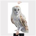 Picture of Watercolour Owl  _GroupedProduct_Rectangle_Portrait_Canvas_