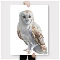 Picture of Watercolour Owl  _GroupedProduct_Rectangle_Portrait_Canvas_