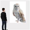 Picture of Watercolour Owl  _GroupedProduct_Rectangle_Portrait_Canvas_