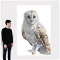 Picture of Watercolour Owl  _GroupedProduct_Rectangle_Portrait_Canvas_