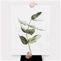 Picture of Green Leaves I  _GroupedProduct_Rectangle_Portrait_Canvas_