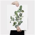 Picture of Green Leaves II  _GroupedProduct_Rectangle_Portrait_Canvas_