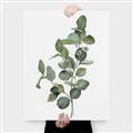 Picture of Green Leaves II  _GroupedProduct_Rectangle_Portrait_Canvas_
