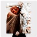 Picture of Brown & black Cattle _GroupedProduct_Rectangle_Portrait_Photography _GroupedProduct_Rectangle_Portrait_Canvas_