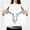 Picture of Cranial Bone ll   _GroupedProduct_Square_Canvas_