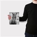 Picture of Icelandic horse in black and white _GroupedProduct_Rectangle_Portrait_Photography _GroupedProduct_Rectangle_Portrait_Canvas_