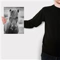 Picture of Icelandic horse in black and white _GroupedProduct_Rectangle_Portrait_Photography _GroupedProduct_Rectangle_Portrait_Canvas_