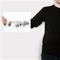 Picture of Sheep Party _GroupedProduct_Rectangle_Landscape_Photography _GroupedProduct_Rectangle_Landscape_Canvas_