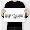 Picture of Sheep Party _GroupedProduct_Rectangle_Landscape_Photography _GroupedProduct_Rectangle_Landscape_Canvas_