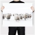 Picture of Sheep Party _GroupedProduct_Rectangle_Landscape_Photography _GroupedProduct_Rectangle_Landscape_Canvas_