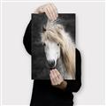 Picture of Stallion _GroupedProduct_Rectangle_Portrait_Photography _GroupedProduct_Rectangle_Portrait_Canvas_