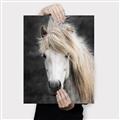 Picture of Stallion _GroupedProduct_Rectangle_Portrait_Photography _GroupedProduct_Rectangle_Portrait_Canvas_
