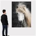 Picture of Stallion _GroupedProduct_Rectangle_Portrait_Photography _GroupedProduct_Rectangle_Portrait_Canvas_