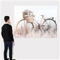 Picture of Field Bike _GroupedProduct_Rectangle_Landscape_Photography _GroupedProduct_Rectangle_Landscape_Canvas_