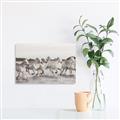 Picture of Horses Running in Water _GroupedProduct_Rectangle_Landscape_Photography _GroupedProduct_Rectangle_Landscape_Canvas_