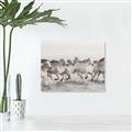 Picture of Horses Running in Water _GroupedProduct_Rectangle_Landscape_Photography _GroupedProduct_Rectangle_Landscape_Canvas_