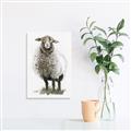 Picture of Watercolour Sheep  _GroupedProduct_Rectangle_Portrait_Canvas_