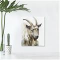 Picture of Watercolour Ram  _GroupedProduct_Rectangle_Portrait_Canvas_