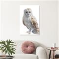 Picture of Watercolour Owl  _GroupedProduct_Rectangle_Portrait_Canvas_