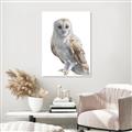 Picture of Watercolour Owl  _GroupedProduct_Rectangle_Portrait_Canvas_