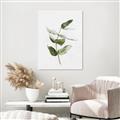 Picture of Green Leaves I  _GroupedProduct_Rectangle_Portrait_Canvas_