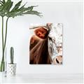 Picture of Brown & black Cattle _GroupedProduct_Rectangle_Portrait_Photography _GroupedProduct_Rectangle_Portrait_Canvas_