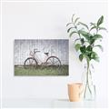 Picture of Pink bike _GroupedProduct_Rectangle_Landscape_Photography _GroupedProduct_Rectangle_Landscape_Canvas_
