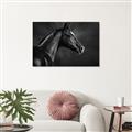 Picture of Black Beauty _GroupedProduct_Rectangle_Landscape_Photography _GroupedProduct_Rectangle_Landscape_Canvas_
