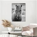 Picture of Icelandic horse in black and white _GroupedProduct_Rectangle_Portrait_Photography _GroupedProduct_Rectangle_Portrait_Canvas_