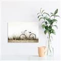 Picture of Leaning Bike  _GroupedProduct_Rectangle_Landscape_Photography _GroupedProduct_Rectangle_Landscape_Canvas_