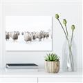 Picture of Sheep Party _GroupedProduct_Rectangle_Landscape_Photography _GroupedProduct_Rectangle_Landscape_Canvas_