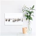Picture of Sheep Party _GroupedProduct_Rectangle_Landscape_Photography _GroupedProduct_Rectangle_Landscape_Canvas_