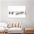 Picture of Sheep Party _GroupedProduct_Rectangle_Landscape_Photography _GroupedProduct_Rectangle_Landscape_Canvas_