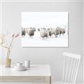 Picture of Sheep Party _GroupedProduct_Rectangle_Landscape_Photography _GroupedProduct_Rectangle_Landscape_Canvas_
