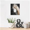 Picture of Stallion _GroupedProduct_Rectangle_Portrait_Photography _GroupedProduct_Rectangle_Portrait_Canvas_