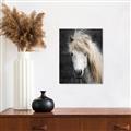 Picture of Stallion _GroupedProduct_Rectangle_Portrait_Photography _GroupedProduct_Rectangle_Portrait_Canvas_