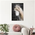 Picture of Stallion _GroupedProduct_Rectangle_Portrait_Photography _GroupedProduct_Rectangle_Portrait_Canvas_