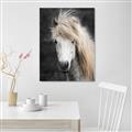 Picture of Stallion _GroupedProduct_Rectangle_Portrait_Photography _GroupedProduct_Rectangle_Portrait_Canvas_
