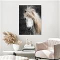 Picture of Stallion _GroupedProduct_Rectangle_Portrait_Photography _GroupedProduct_Rectangle_Portrait_Canvas_