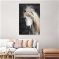 Picture of Stallion _GroupedProduct_Rectangle_Portrait_Photography _GroupedProduct_Rectangle_Portrait_Canvas_