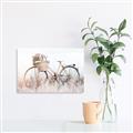 Picture of Field Bike _GroupedProduct_Rectangle_Landscape_Photography _GroupedProduct_Rectangle_Landscape_Canvas_
