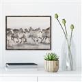 Picture of Horses Running in Water _GroupedProduct_Rectangle_Landscape_Photography _GroupedProduct_Rectangle_Landscape_Canvas_Framed_