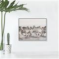 Picture of Horses Running in Water _GroupedProduct_Rectangle_Landscape_Photography _GroupedProduct_Rectangle_Landscape_Canvas_Framed_
