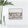 Picture of Horses Running in Water _GroupedProduct_Rectangle_Landscape_Photography _GroupedProduct_Rectangle_Landscape_Canvas_Framed_