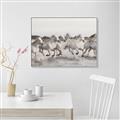 Picture of Horses Running in Water _GroupedProduct_Rectangle_Landscape_Photography _GroupedProduct_Rectangle_Landscape_Canvas_Framed_