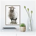 Picture of Watercolour Sheep  _GroupedProduct_Rectangle_Portrait_Canvas_Framed_
