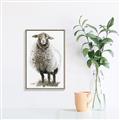 Picture of Watercolour Sheep  _GroupedProduct_Rectangle_Portrait_Canvas_Framed_